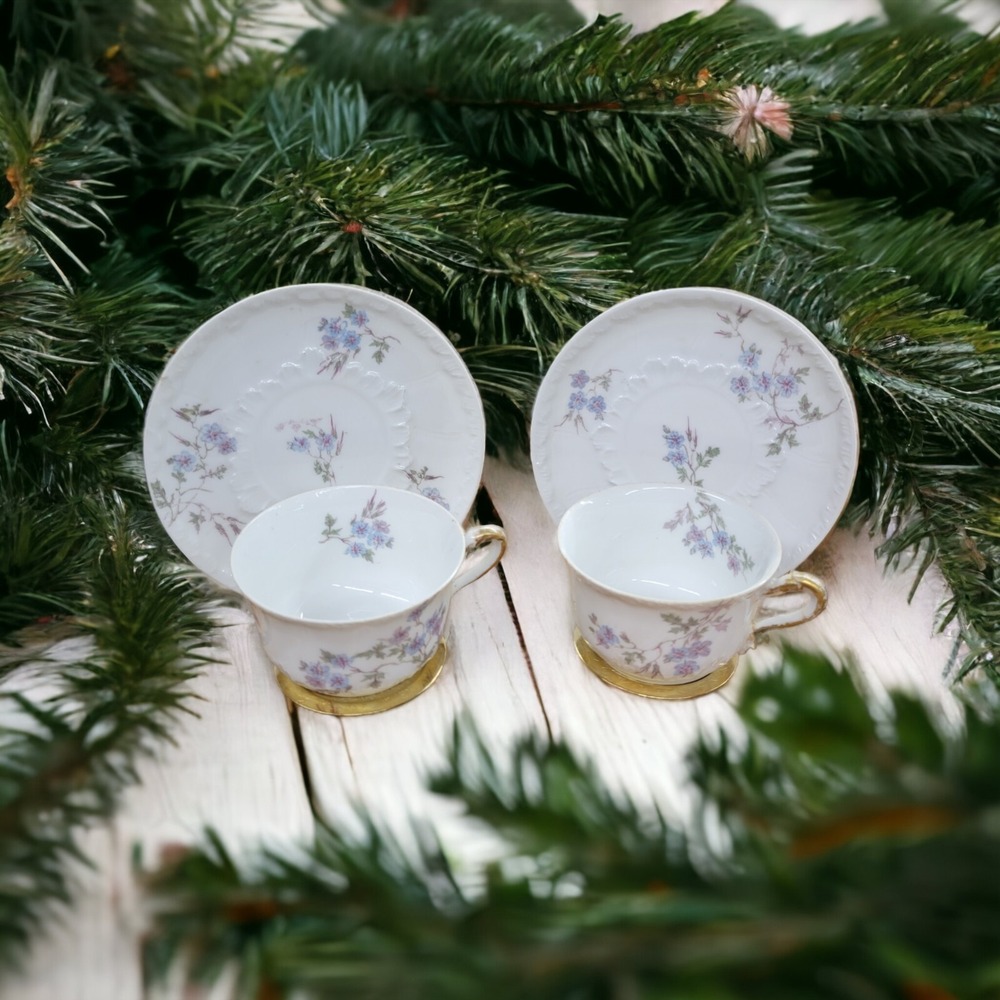 Antique Limoges Set of 2 Cups Saucers Haviland CFH GDM France Purple Blue Floral